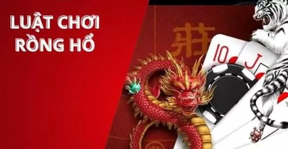 2 Hieu ro va nam vung luat choi Rong ho Red88 Hiểu rõ và nắm vững luật chơi Rồng hổ Red88